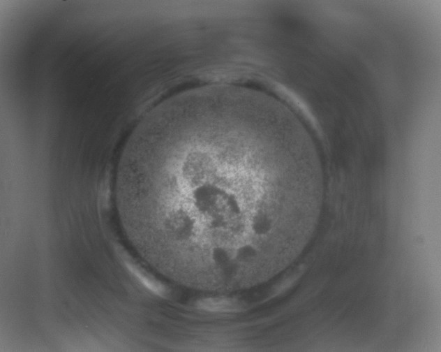 X0000083600065200702091231