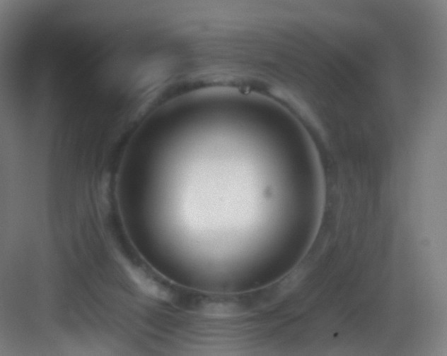 X0000083600066200702091231