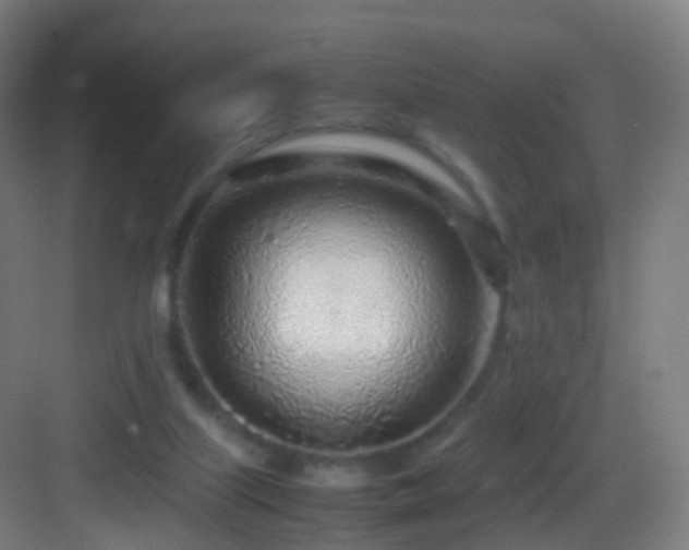 X0000083600067200702091231