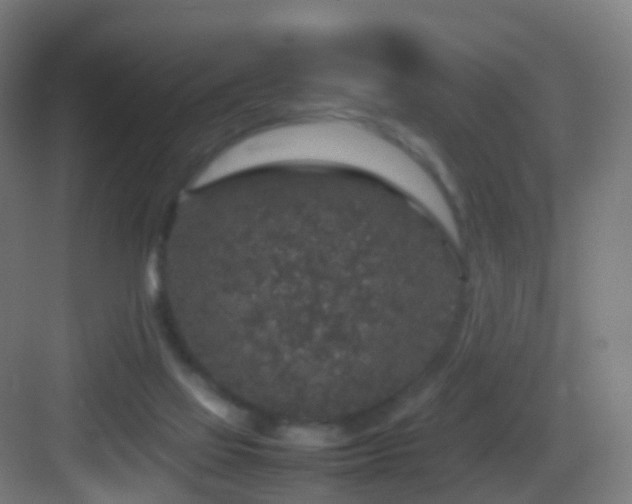 X0000083600069200702091231