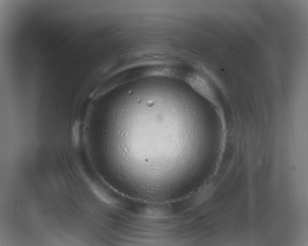 X0000083600070200702091231