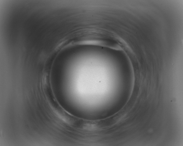 X0000083600071200702091231