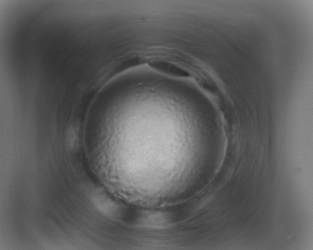 X0000083600073200702091231