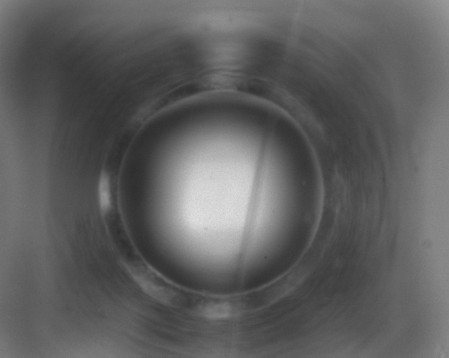 X0000083600075200702091231