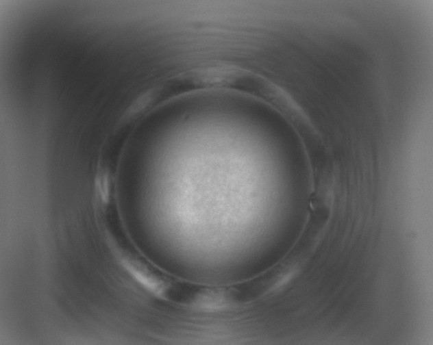 X0000083600076200702091231