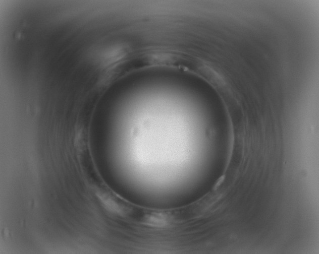 X0000083600079200702091231