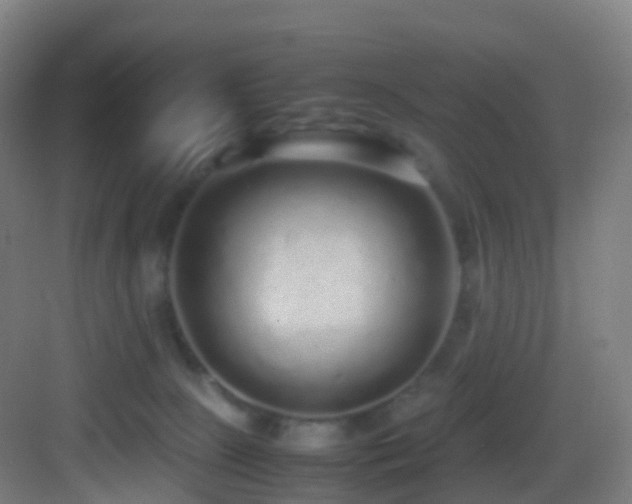 X0000083600081200702091231