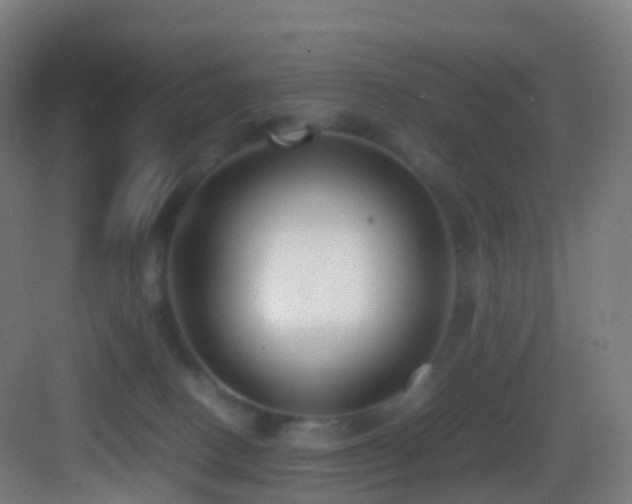 X0000083600082200702091231