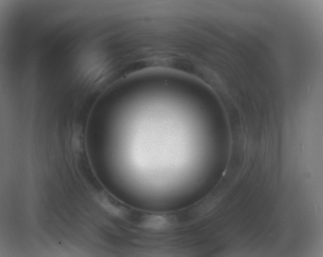 X0000083600083200702091231