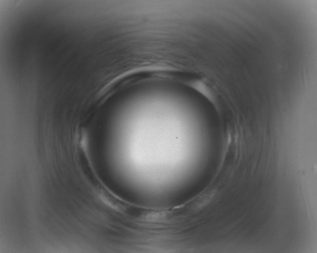 X0000083600084200702091231