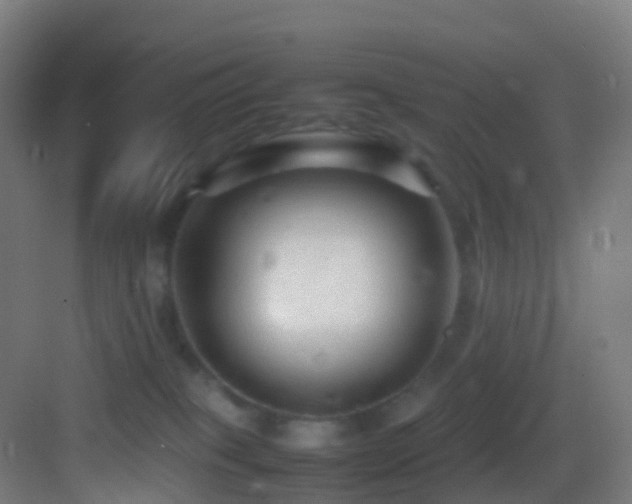 X0000083600085200702091231