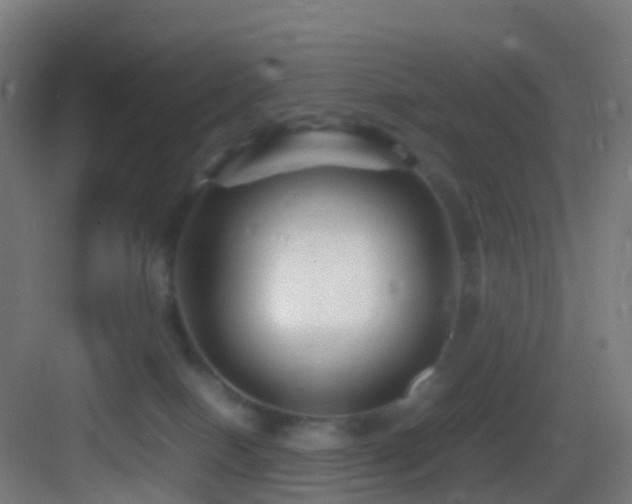 X0000083600086200702091231