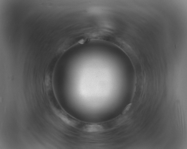 X0000083600087200702091231