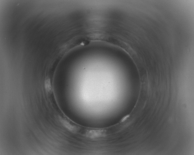 X0000083600089200702091231