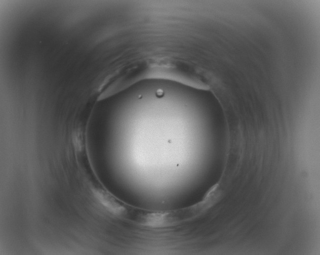 X0000083600090200702091231