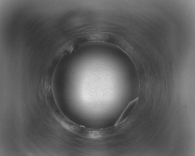 X0000083600091200702091231