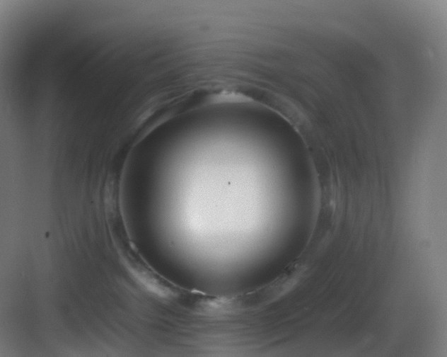 X0000083600092200702091231