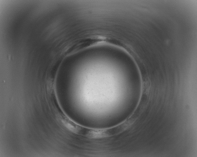 X0000083600093200702091231