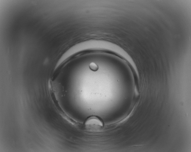 X0000083600094200702091231