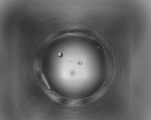 X0000083600096200702091231