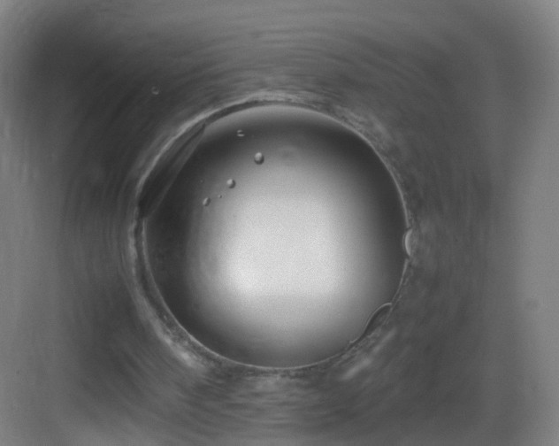 X0000083600098200702091230