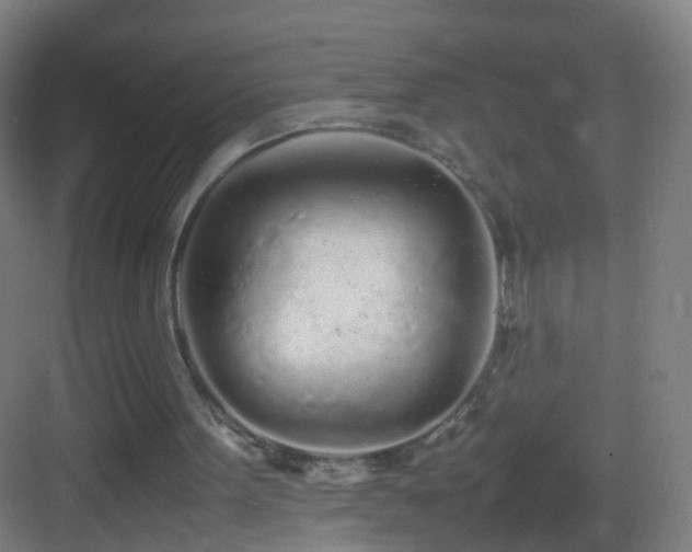 X0000083600099200702091230