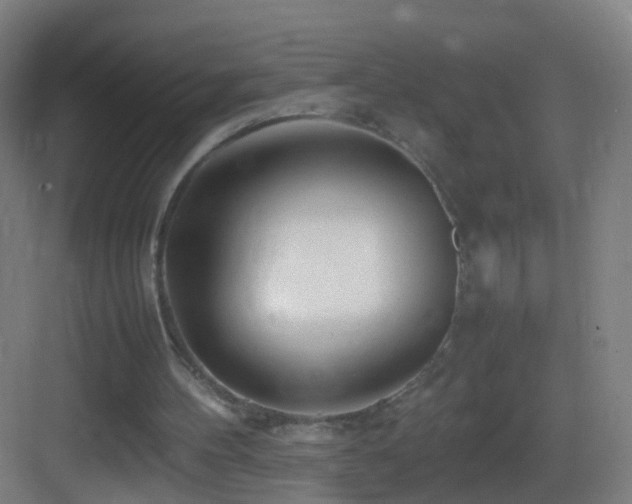 X0000083600100200702091230