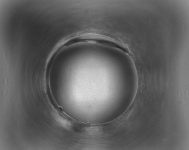 X0000083600102200702091230