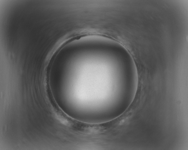 X0000083600103200702091230