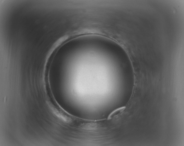 X0000083600104200702091230