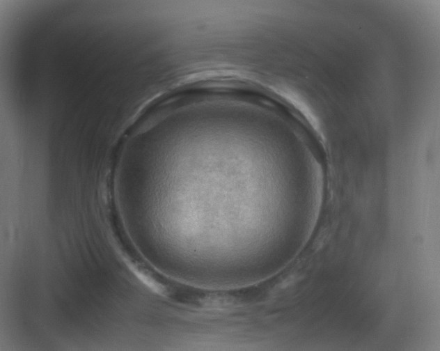 X0000083600105200702091230