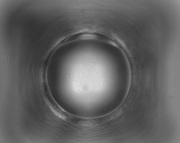 X0000083600106200702091230