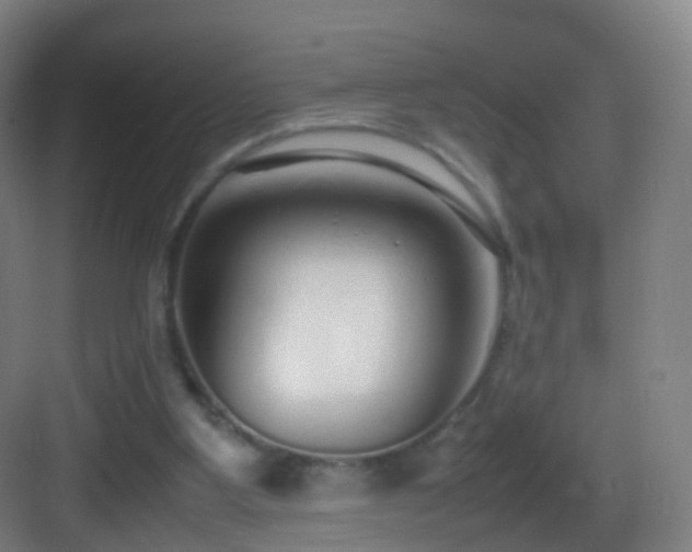 X0000083600107200702091230