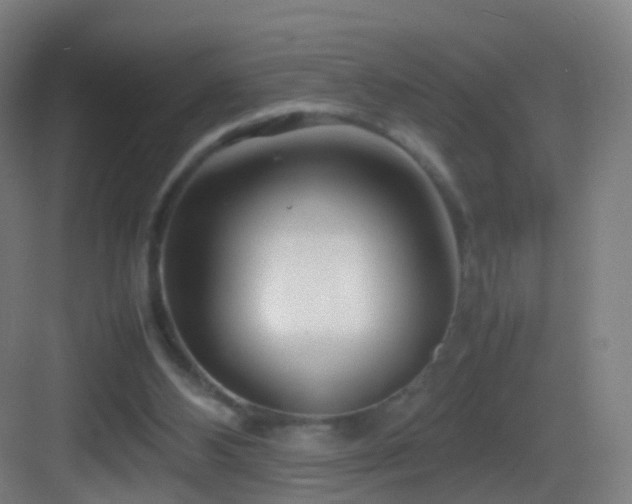 X0000083600108200702091230