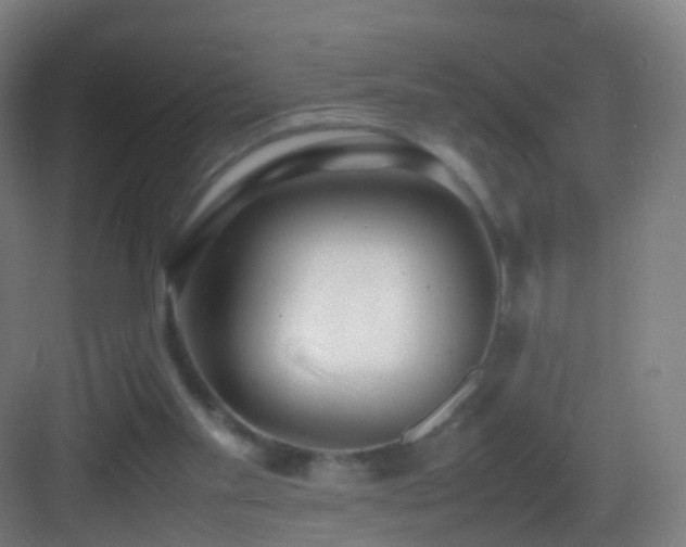 X0000083600109200702091230