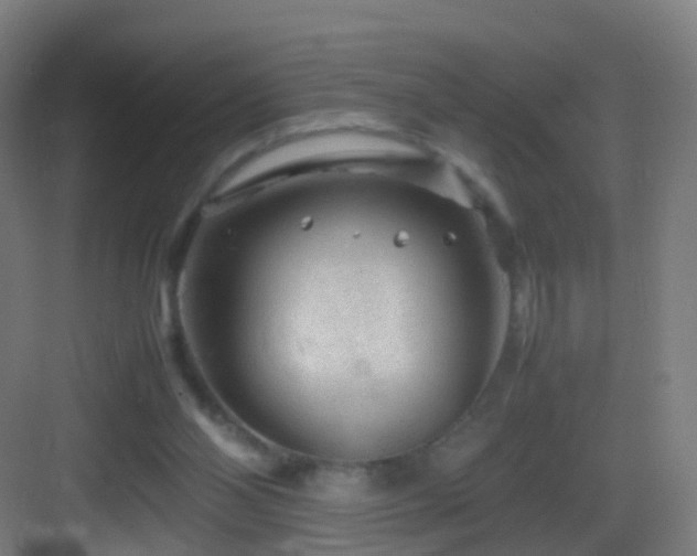 X0000083600110200702091230