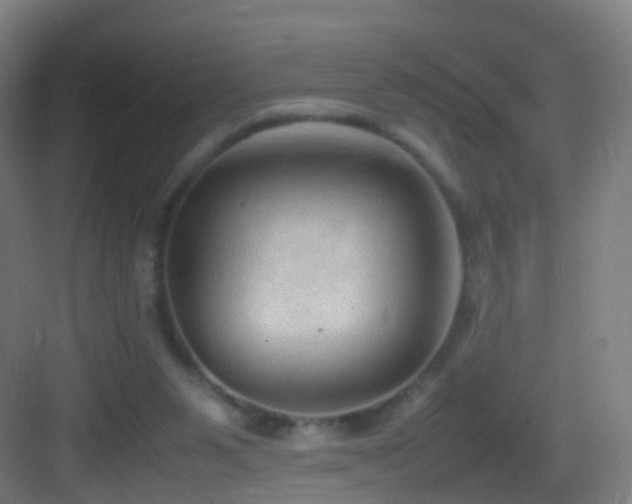 X0000083600111200702091230