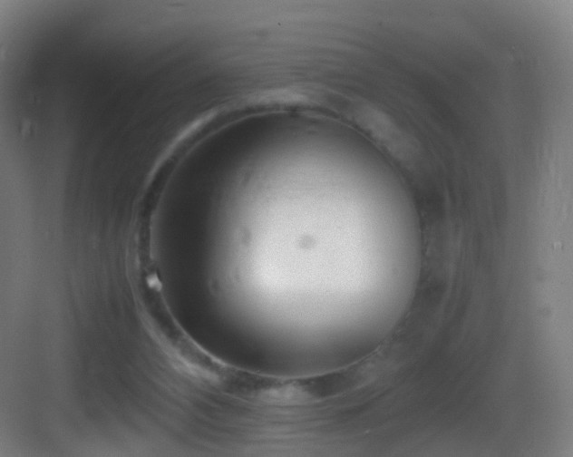 X0000083600112200702091230