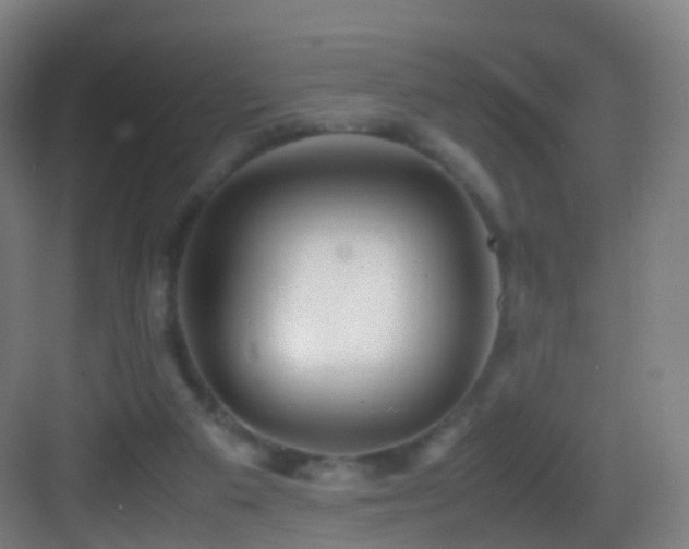 X0000083600113200702091230