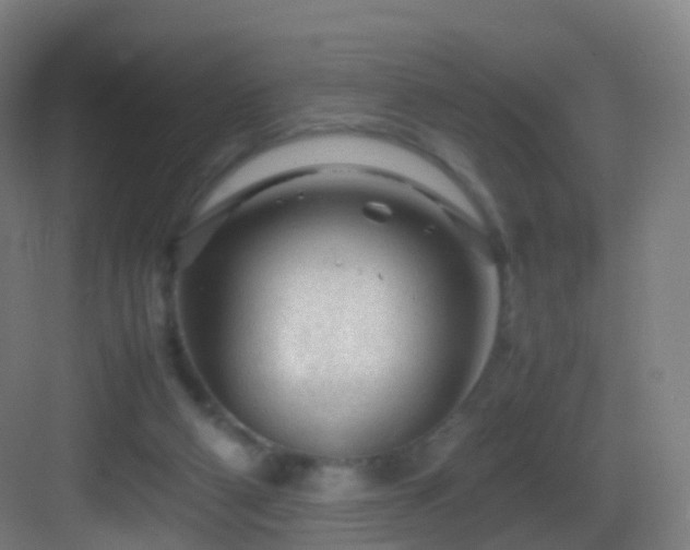 X0000083600114200702091230