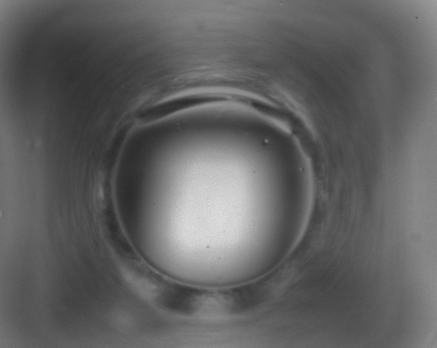 X0000083600115200702091230