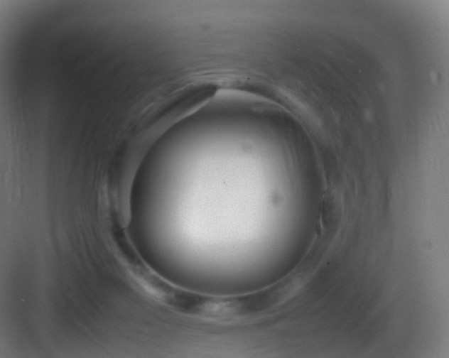 X0000083600117200702091230