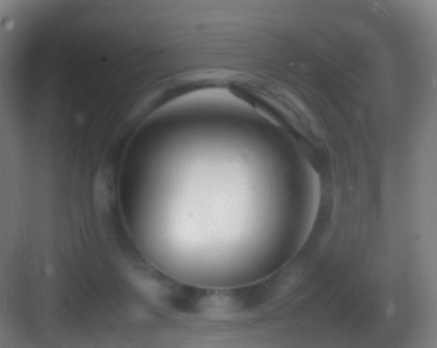 X0000083600119200702091230