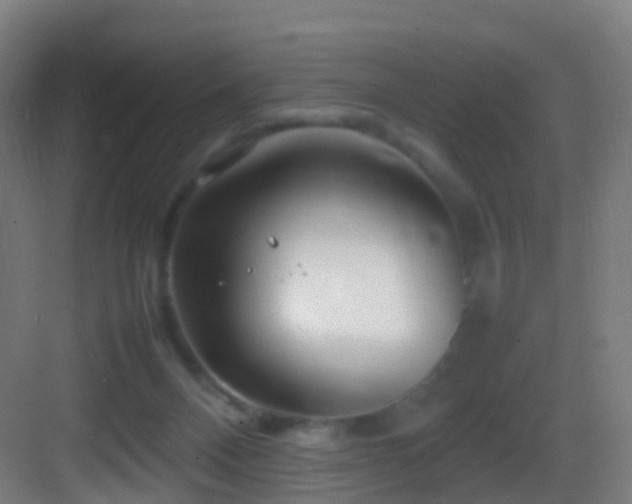 X0000083600120200702091230