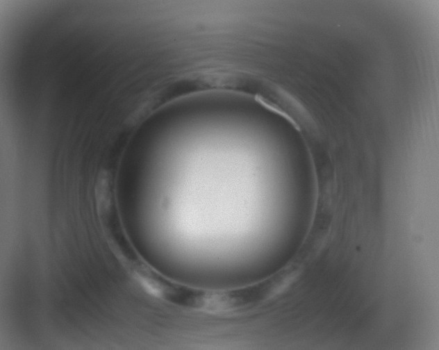 X0000083600121200702091230