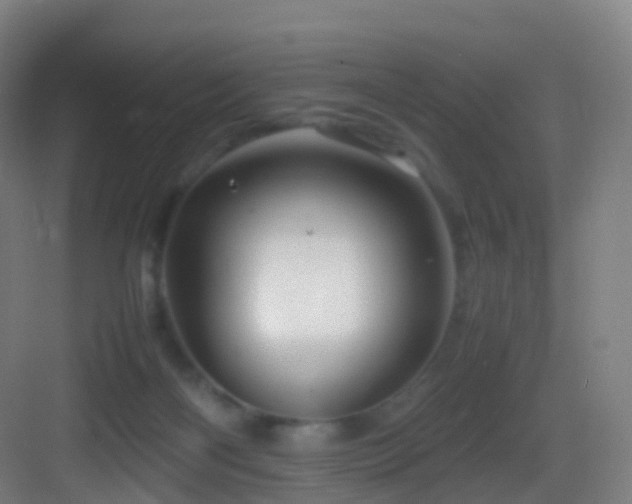 X0000083600122200702091230