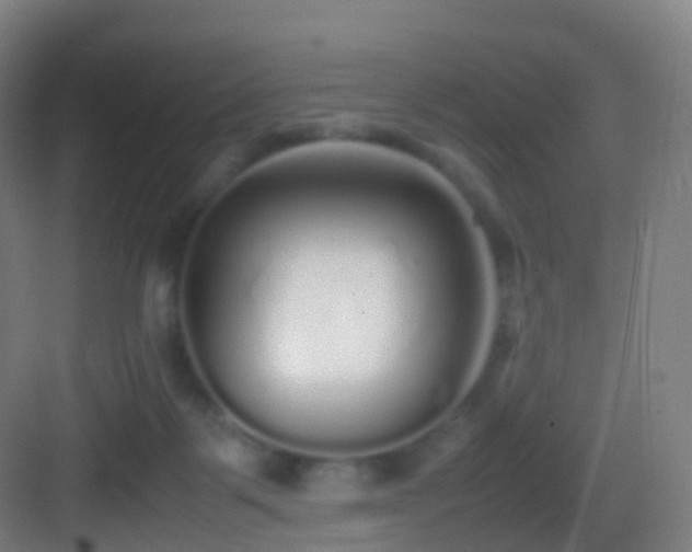 X0000083600123200702091230