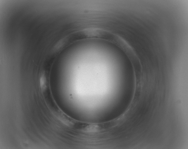 X0000083600124200702091230