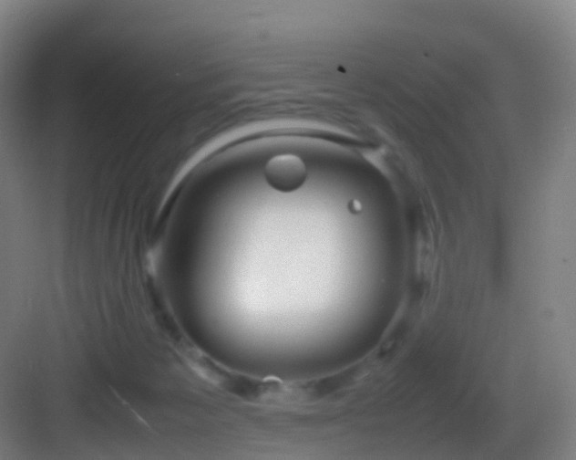 X0000083600125200702091230