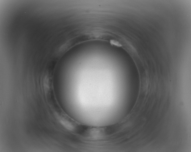 X0000083600126200702091230